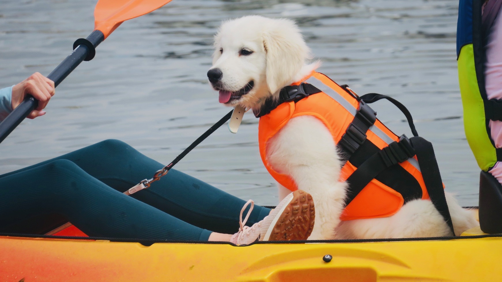Marlone et son gilet de sauvetage dans un kayak